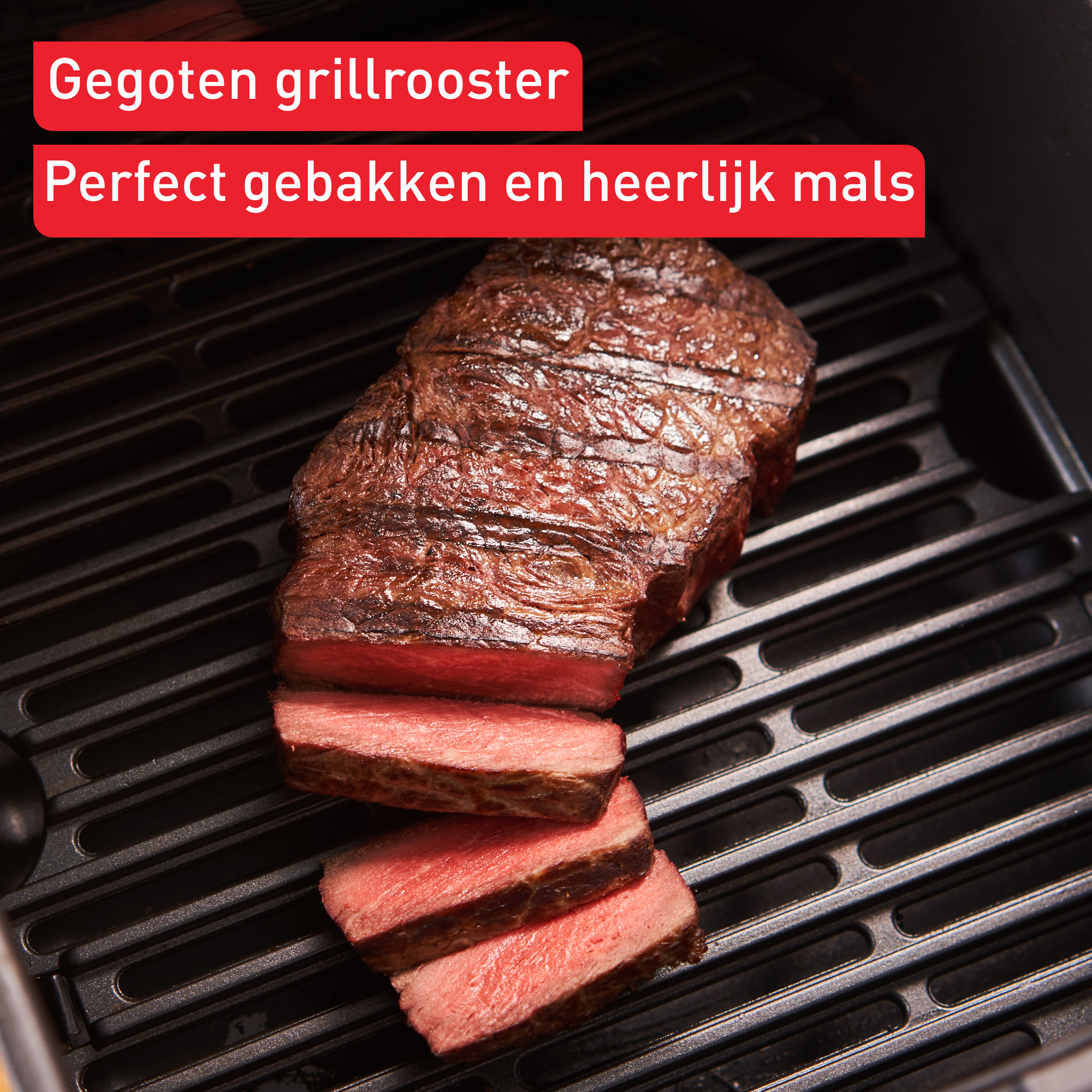 Easy Fry & Grill XL EY501A 2-in-1 heteluchtfriteuse nube