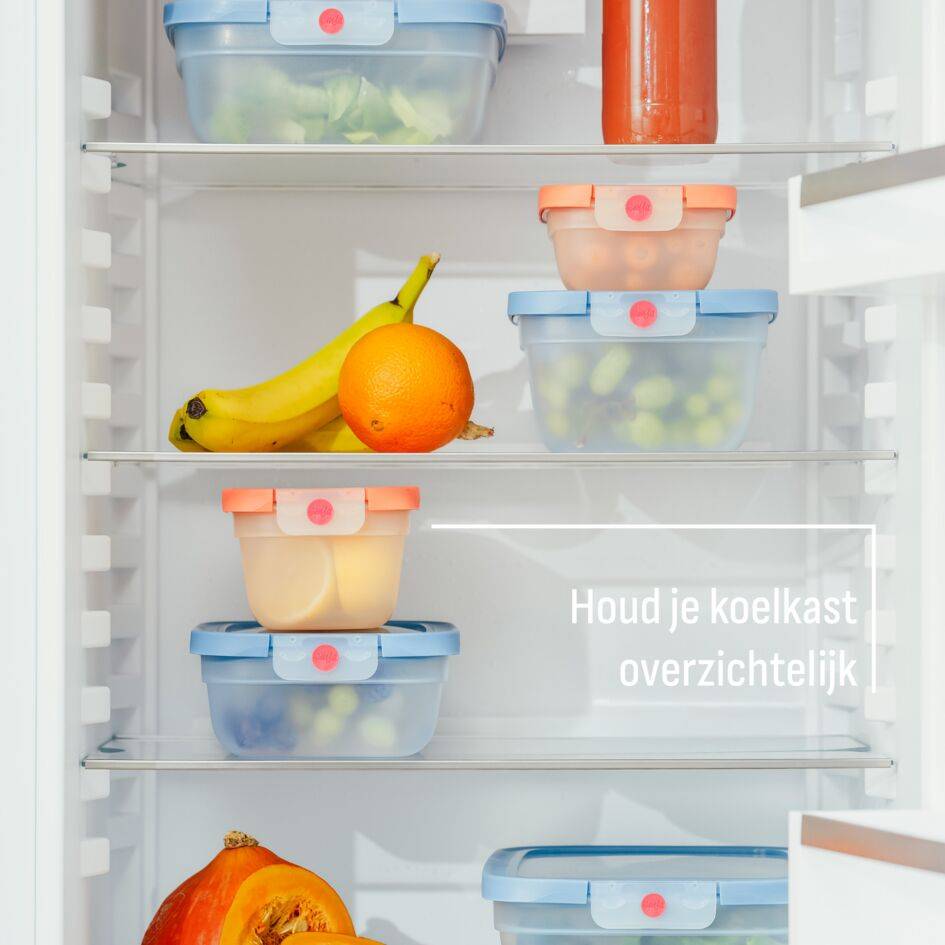 oneClick N1230510 vershoudbakje 3-delige set blauw (3x0,5L)