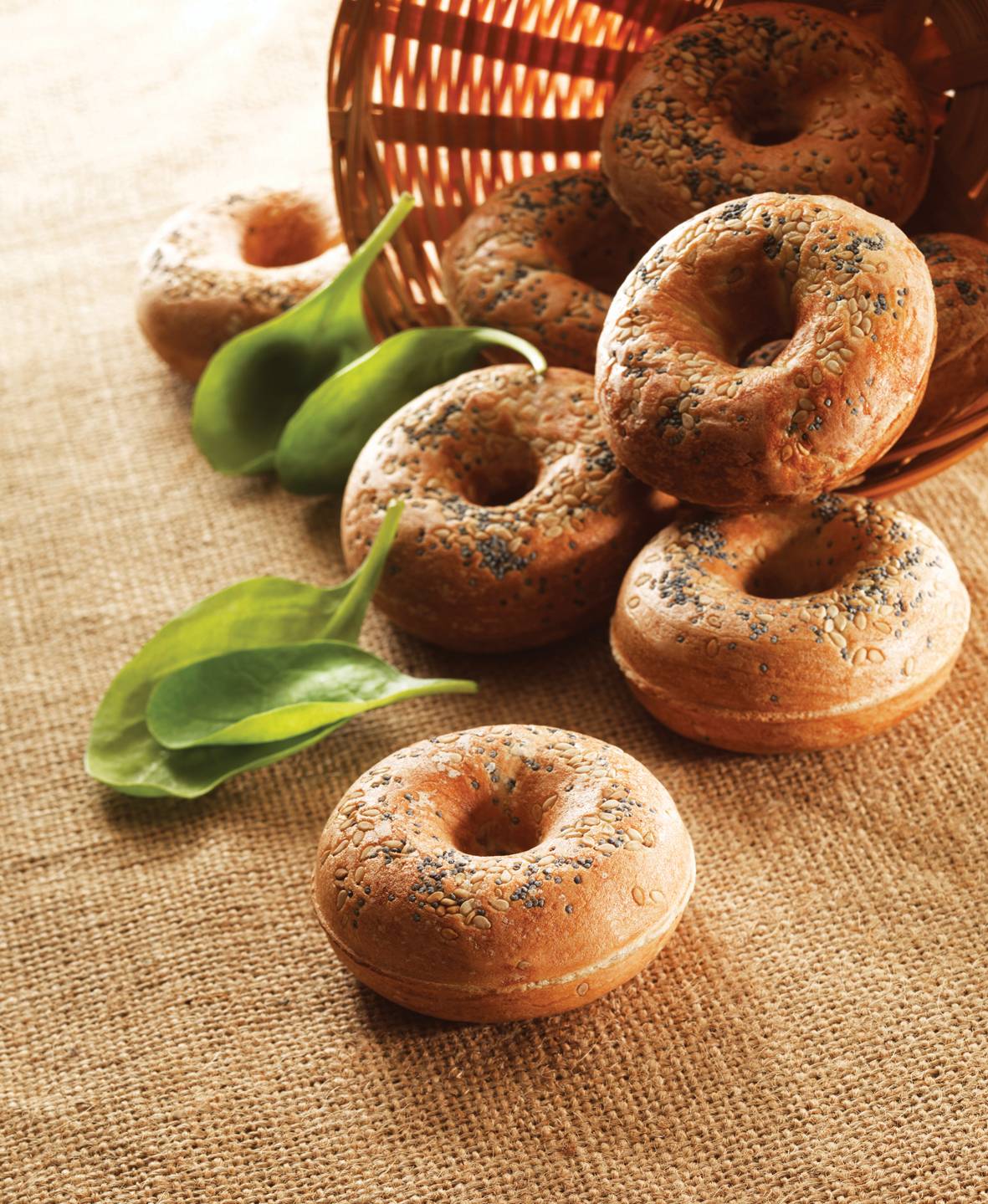 Donutplaten Snack Collection XA801112