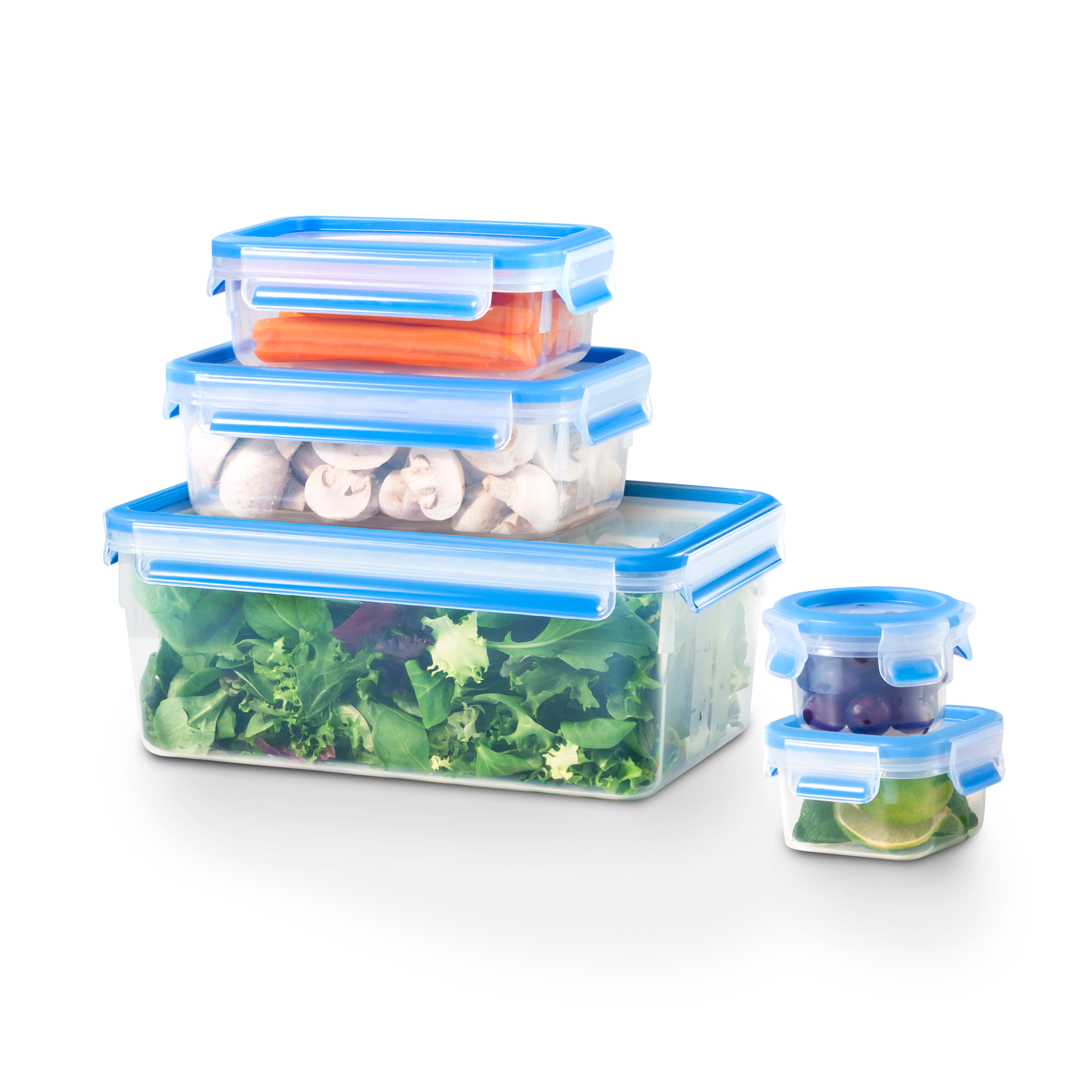 MasterSeal Fresh K3029012 5-delige set vershoudbakjes 0,15/0,2/0,55/1,0/3,7L