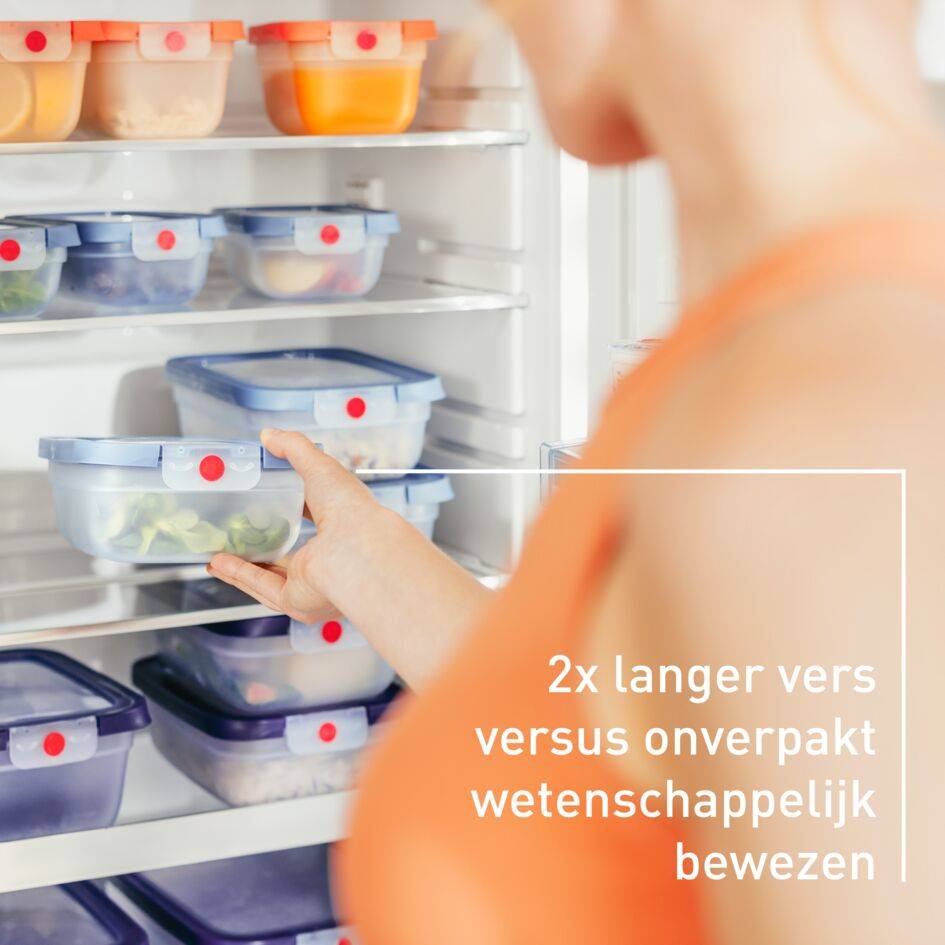 oneClick N1210910 vershoudbakje rechthoekig paars (1,2L)