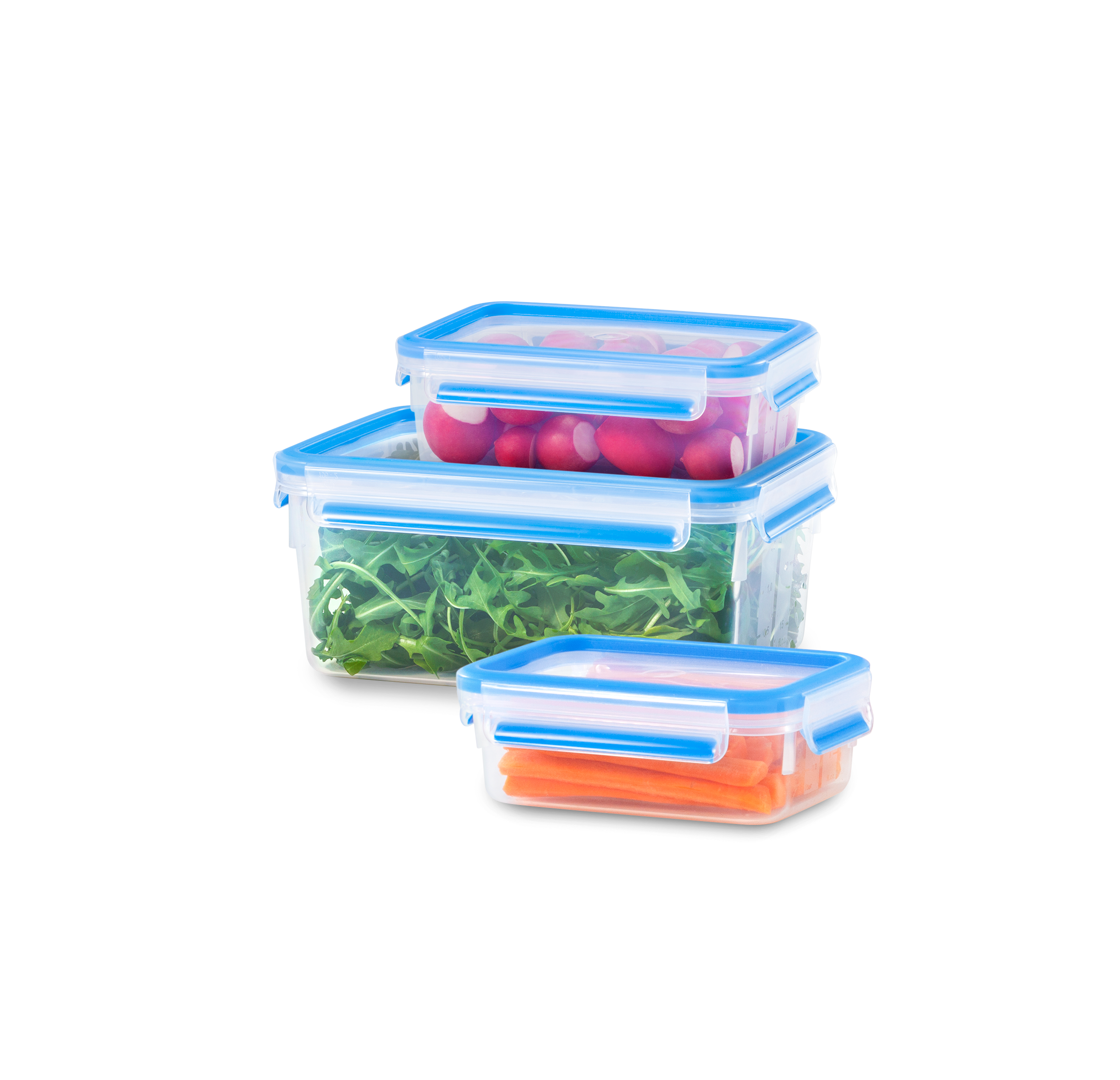 MasterSeal Fresh K3028912 3-delige set vershoudbakjes 0,55/1,0/2,2L