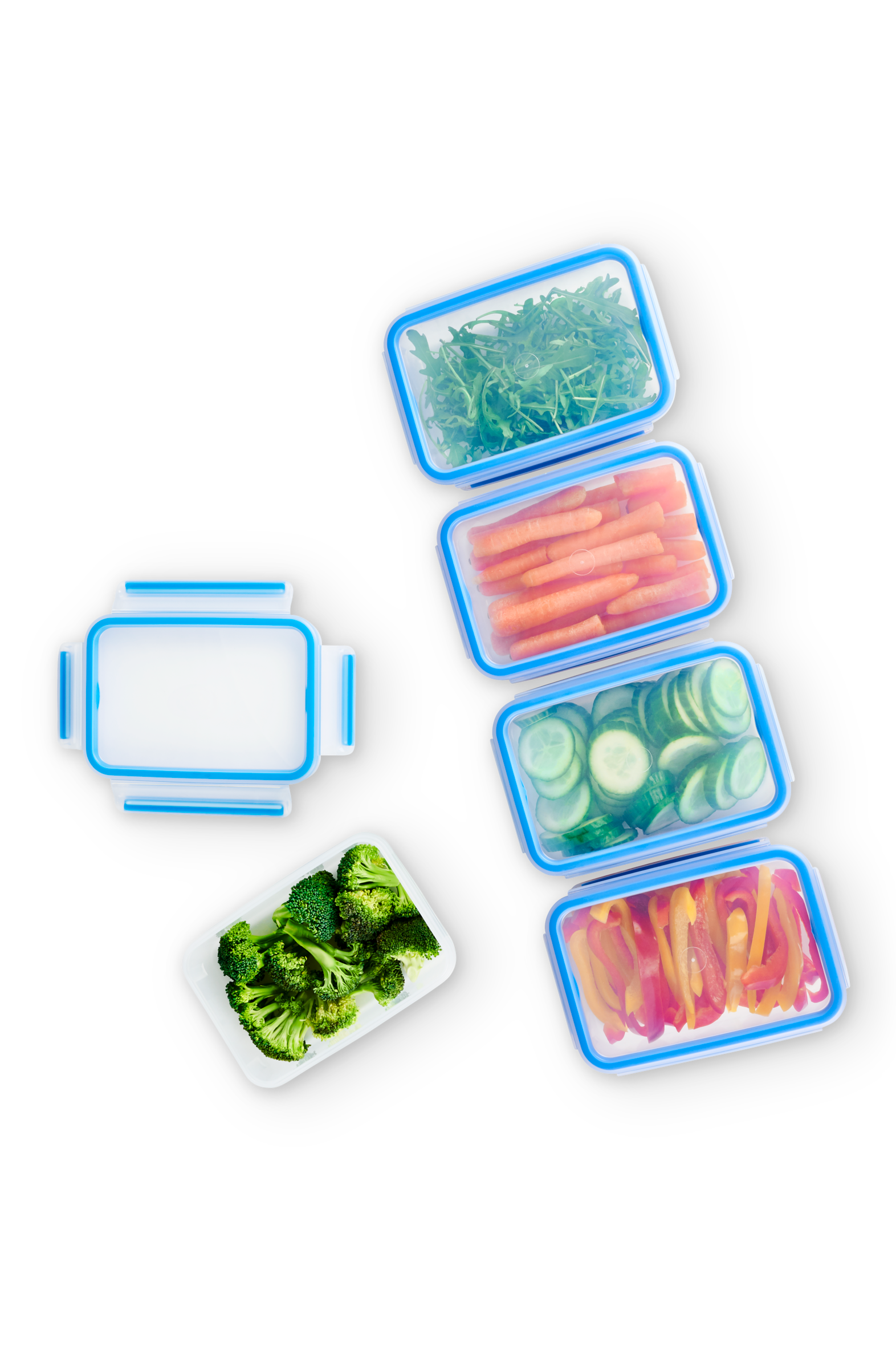 MasterSeal Fresh N1030710 Mealprep Set rechthoekig (5 x 0,8L)