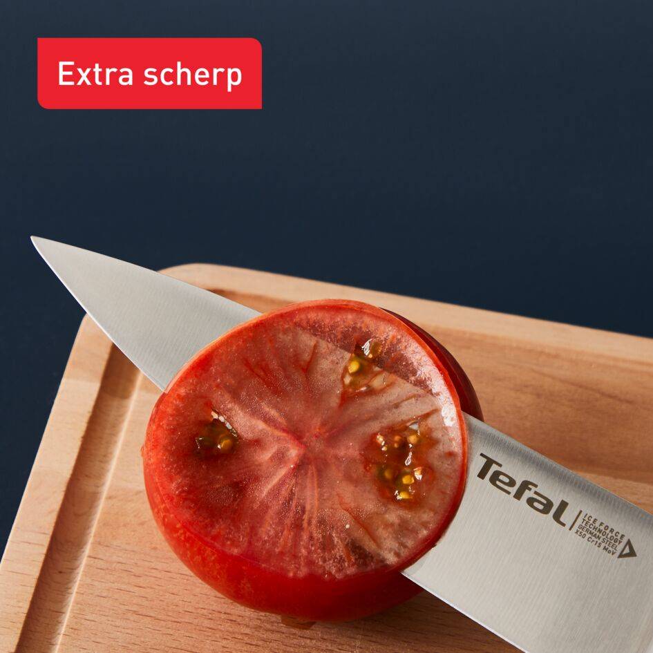 Ice Force K232S414 set van 4 steakmessen