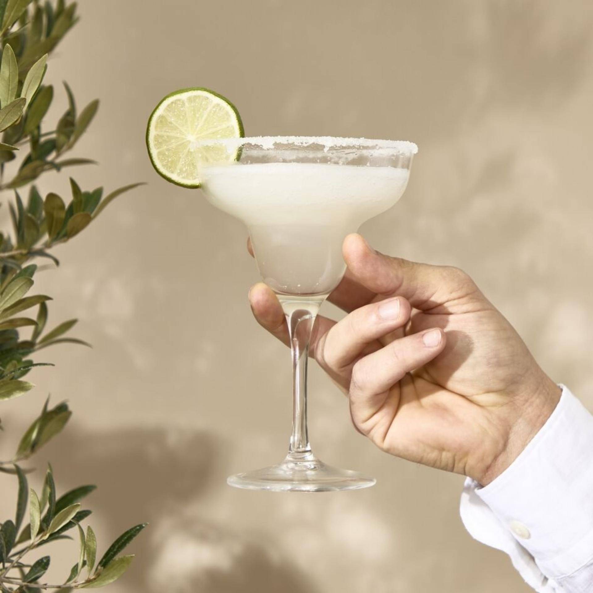 Frozen Margarita - Recepten Freezi | Tefal